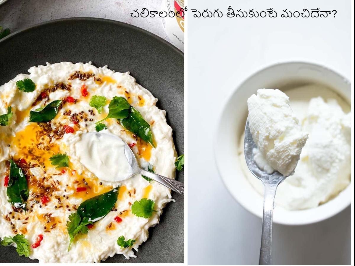చ‌లికాలంలో పెరుగు తీసుకుంటే మంచిదేనా?